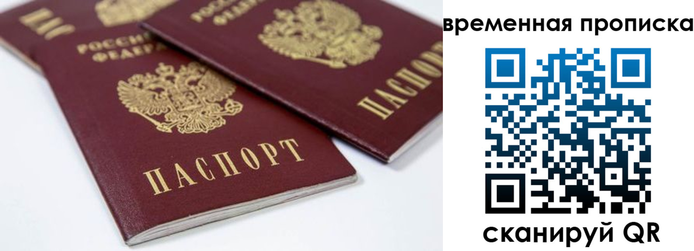 прописка для школы в Мурманске